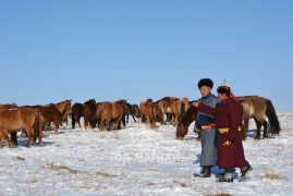 Аймгийн Алдарт уяач Г.Одсүрэн: Адуугаа чанаржуулах ажлыг нэлээд эртнээс эхлүүлсэн