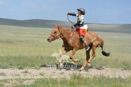 13-Д.Баатарсайханы хонгор