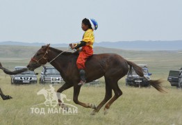 Айргийн гурав-Б.Отгоннасангийн хүрэн