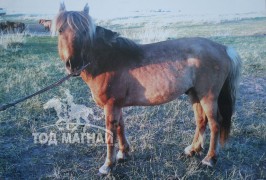 АРГАГҮЙ ХУРДАН АРГАМАГУУД МИНУ ЗЭЭ...