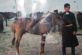 17 настайдаа: хүрэн морь даагандаа Идэрмэг сумын наадамд түрүүлсэн нь