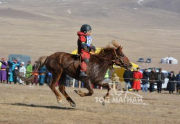 Зургаа - С.Дамбажавын зээрд халзан