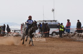 10 - Бат-Очирийн Цэндбаатарийн хар ногоон