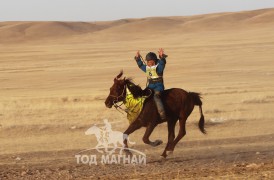 Айргийн гурав - А.Ариунсайханы зээрд