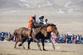 15 - Г.Ганчулууны хээр, 16 - Д.Дарамсэнгийн хүрэн