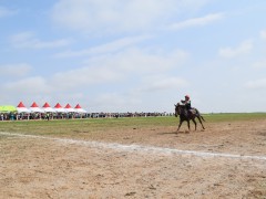 Говийн бүсийн уралдаанд эхний 10-т хурдалсан хурдан хязаалангууд