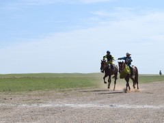 Говийн бүсийн уралдааны эрлийз дээд ангилалд эхний 10-т хурдалсан хурдан хүлгүүд