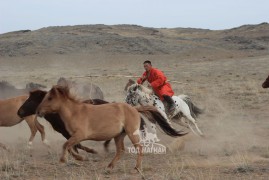 Сумын Алдарт уяач Г.Дугар: Морины хүүхэдгүй болчихоод ойрд хээр азаргаараа наадаж байна