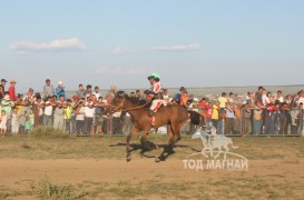 Айргийн гурав - С.Галтын хээр