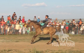 Айргийн дөрөв - Д.Эрдэнэбатын хонгор