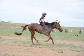 Айргийн дөрөв Одонбаатарын хүрэн