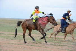 Айргийн гурав Эрдэнэбаатарын хул