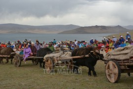 Дөрвөн Тод манлайн мялаалга наадам, “Очирваанийн шигшмэл хурд-2017” уралдаанаас...