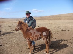 Дээдсээс уламжилсан адуун сүргийн минь тамга ширээтэй давхар саран тэмдэг