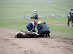 Их насны морьдын уралдааны үеэр гурван морь эндлээ