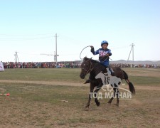 Шаравын Мөнгөншагайн ногоон 