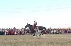 Шонхорын Доржрагчаагийн хээр 