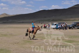 Шижирийн овооны тахилга уралдаан шүдлэн