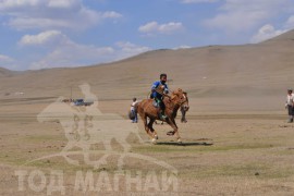 Шижирийн овооны тахилга уралдаан их нас