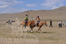 Шижирийн овооны тахилга уралдаан их нас