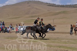 Шижирийн овооны тахилга уралдаан их нас