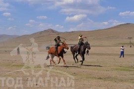 Шижирийн овооны тахилга уралдаан их нас