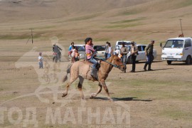 Шижирийн овооны тахилга уралдаан даага