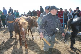 “Сэцэн ханы хурд-2018” хаврын бүсийн уралдаан амжилттай зохион байгуулагдлаа