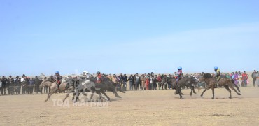 Яйчилын Ганбаатарын улаан буурал