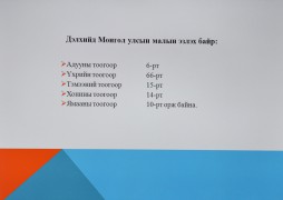 Монгол Улсын гавьяат мал зүйч, профессор Д.Самданжамц: Монгол адууны удмын санг хамгаалах шаардлагатай байна