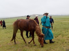 Н.Атарбаярын зээрд азарга айргийн дөрөвт хурдаллаа