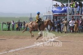 АХ-ын 91 жилийн ойн хурдан шүдлэн насны морьдын фото