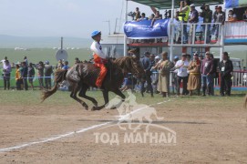 АХ-ын 91 жилийн ойн хурдан шүдлэн насны морьдын фото