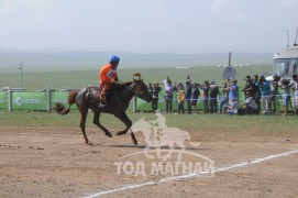 АХ-ын 91 жилийн ойн хурдан шүдлэн насны морьдын фото