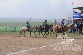 АХ-ын 91 жилийн ойн хурдан шүдлэн насны морьдын фото