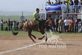 АХ-ын 91 жилийн ойн хурдан шүдлэн насны морьдын фото