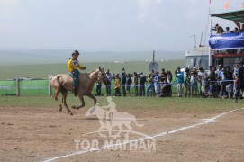 АХ-ын 91 жилийн ойн хурдан шүдлэн насны морьдын фото