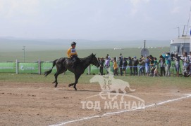 АХ-ын 91 жилийн ойн хурдан шүдлэн насны морьдын фото