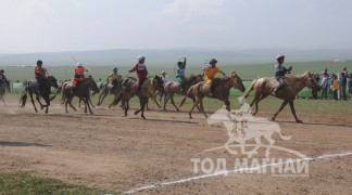 АХ-ын 91 жилийн ойн хурдан шүдлэн насны морьдын фото