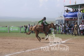 АХ-ын 91 жилийн ойн хурдан шүдлэн насны морьдын фото