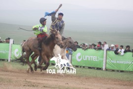 Эхний аравт хурдалсан хурдан азарганууд