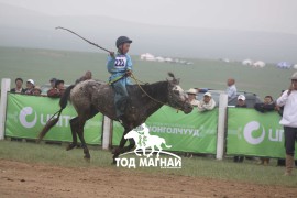 Эхний аравт хурдалсан хурдан азарганууд