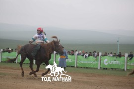 Эхний аравт хурдалсан хурдан азарганууд