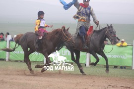 Эхний аравт хурдалсан хурдан азарганууд