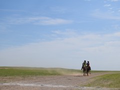 Говийн бүсийн уралдааны эрлийз дээд ангилалд эхний 10-т хурдалсан хурдан хүлгүүд