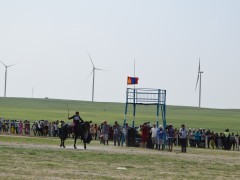 Соён гэгээрүүлэгч говийн V ноён хутагт Данзанравжаагийн мэлмий гийсний 215 жилийн ой, говийн бүсийн уралдаанд эхний 10-т хурдалсан хурдан азарганууд