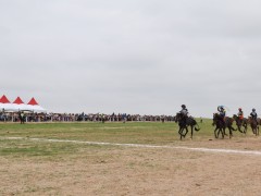 Говийн бүсийн уралдаанд эхний 10-т хурдалсан хурдан шүдлэнгүүд