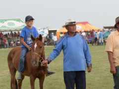 Ерөөлтийн халзан гэж ер бусын хурдан хүлэг